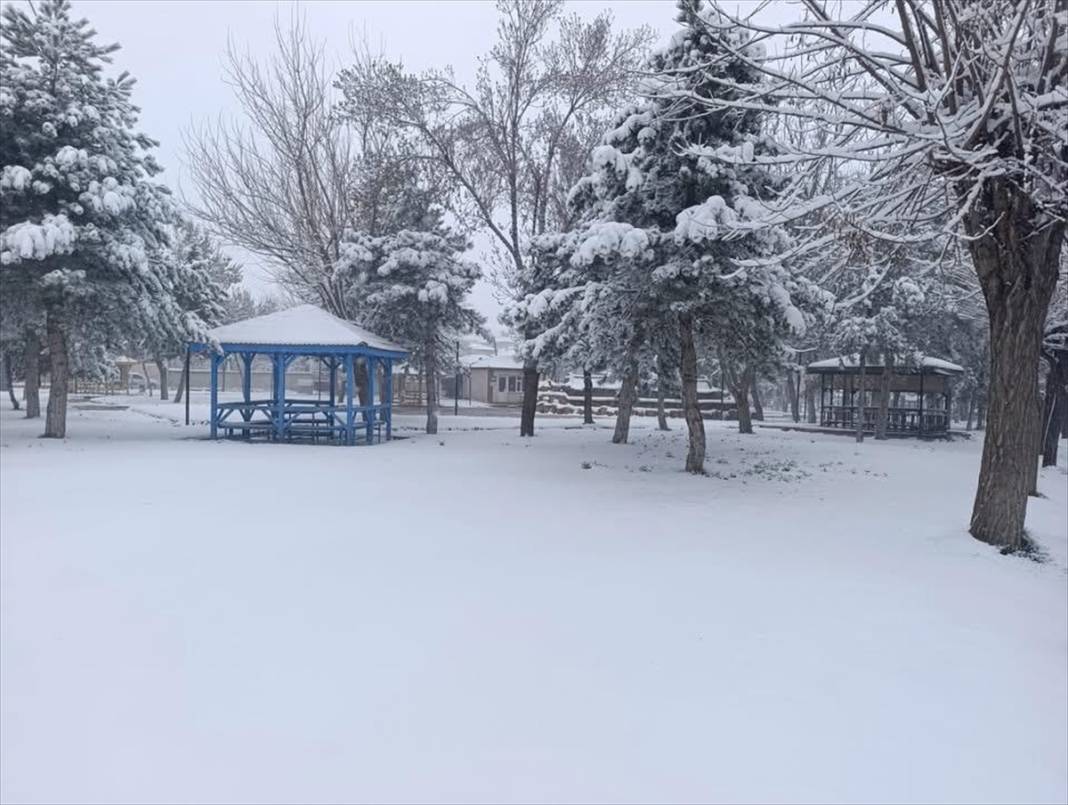 Konya’da çiçek açan ağaçları beyaz örtü kapladı 8